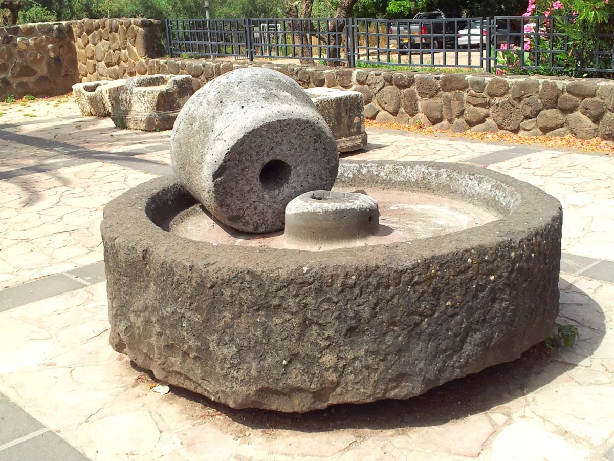Traditional rural farming landscape representing historic oil traditions